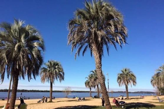 Pasajes en micro a Colón