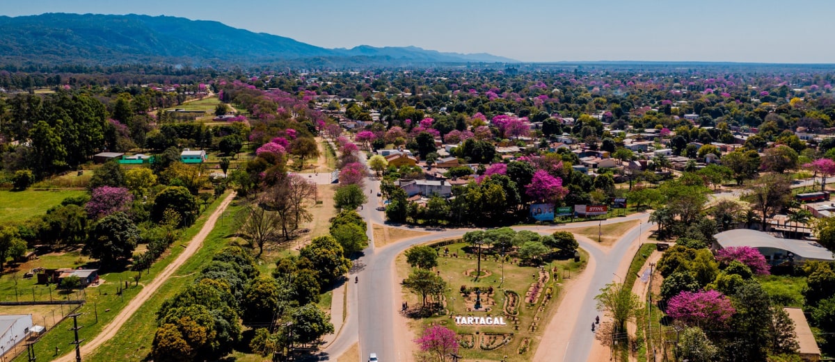 Pasajes en micro a Tartagal